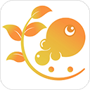 樹魚英語app