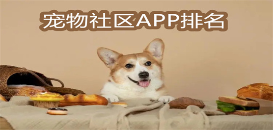 宠物社区app排名