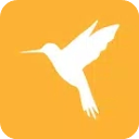 黄鸟抓包App2024最新版 v2.13.0安卓版