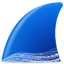 Wireshark for Mac中文版 v4.2.4苹果电脑版