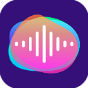 王者变声器软件免费版 v1.6安卓版