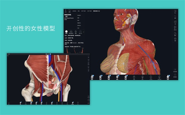 Complete Anatomy 2019 for mac下载