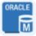 赤兔oracle数据恢复软件 v11.6官方版