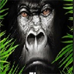 孤独的大猩猩四项修改器 v1.0