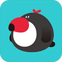 犀鸟公考app(犀鸟好前途) v5.8.3安卓版