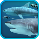 Sharks 3D Mac版