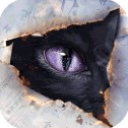 黑猫奇闻社测试服 v0.19.6安卓版
