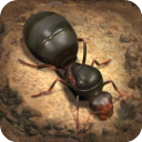 小小蚁国国际服(The Ants) v3.40.0安卓版