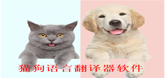 猫狗语言翻译器软件