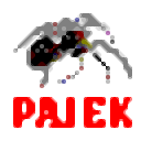 Pajek(大型网络分析工具)