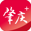 肇庆+app v5.1.0安卓版