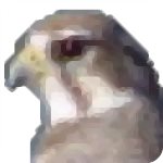 Falco Icon Studio(图标制作软件) v8.3