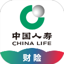 中国人寿车险app游戏图标
