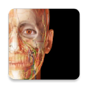 2024+人体解剖学图谱app官方最新版