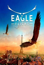 Eagle Flight模拟