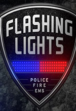 消防模拟(Flashing Lights)中文版