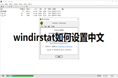 《windirstat》如何设置中文