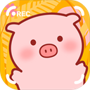 美食家小猪的大冒险 v1.0安卓版