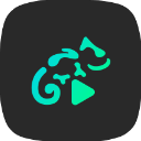 蜥蜴音乐播放器app(Stellio Player)