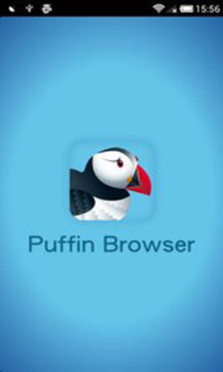 puffin浏览器app官方版
