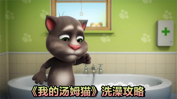 我的汤姆猫怎么洗澡
