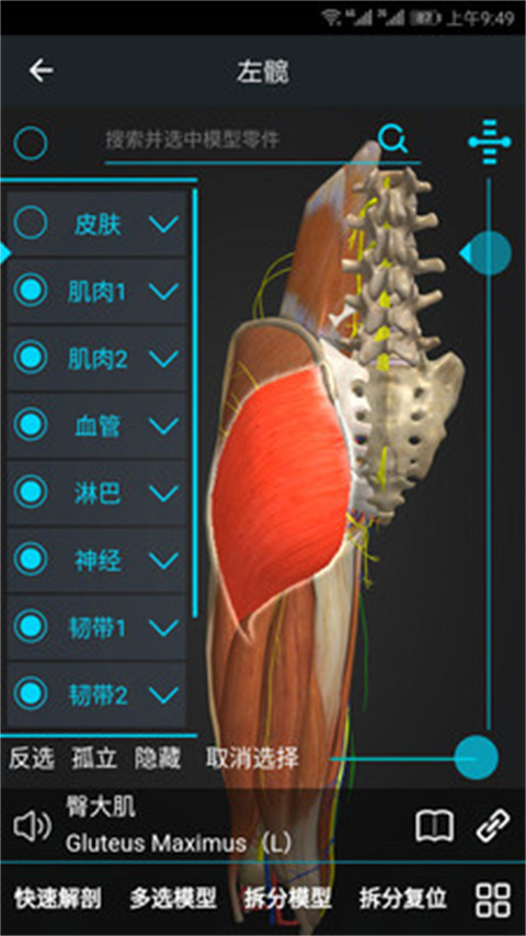 医维度解剖app