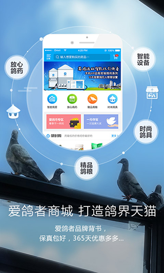 爱鸽者官方版app2