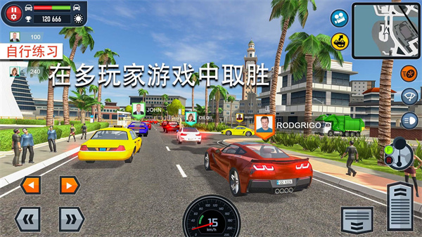 驾校模拟游戏官方版5