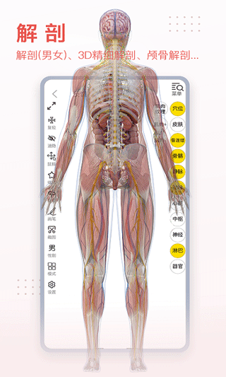 3dbody解剖app最新版